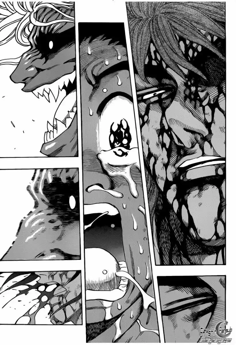 Toriko (2008) - Capítulo 240 - Página 5 - LectorTMOo