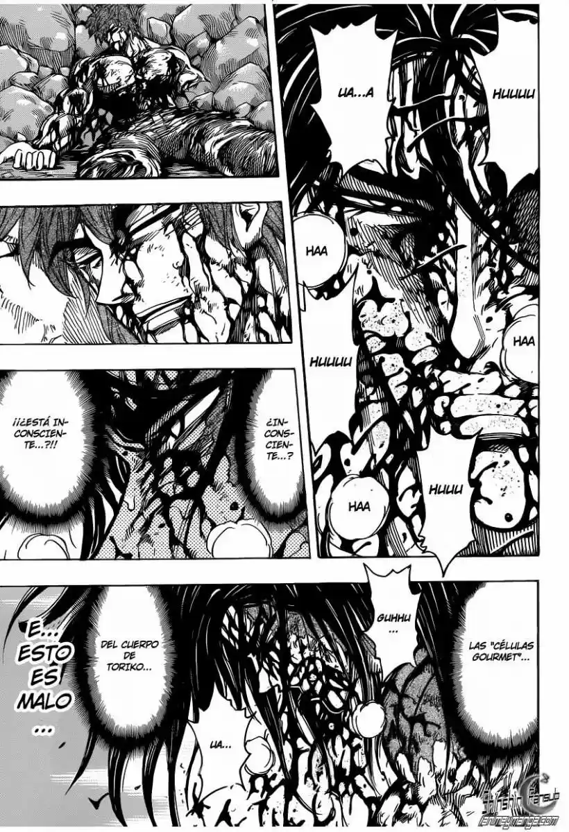 Toriko (2008) - Capítulo 240 - Página 8 - LectorTMOo