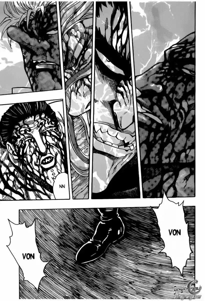 Toriko (2008) - Capítulo 240 - Página 15 - LectorTMOo