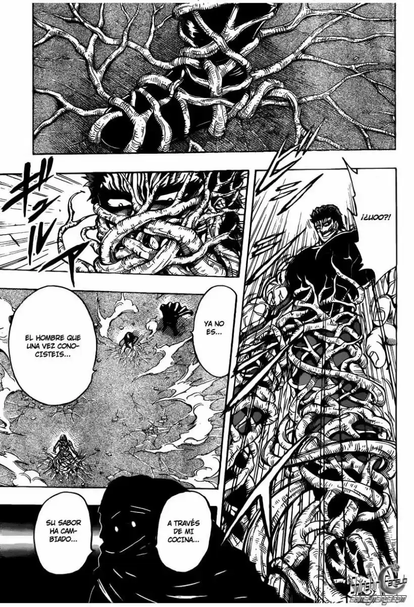Toriko (2008) - Capítulo 241 - Página 12 - LectorTMOo