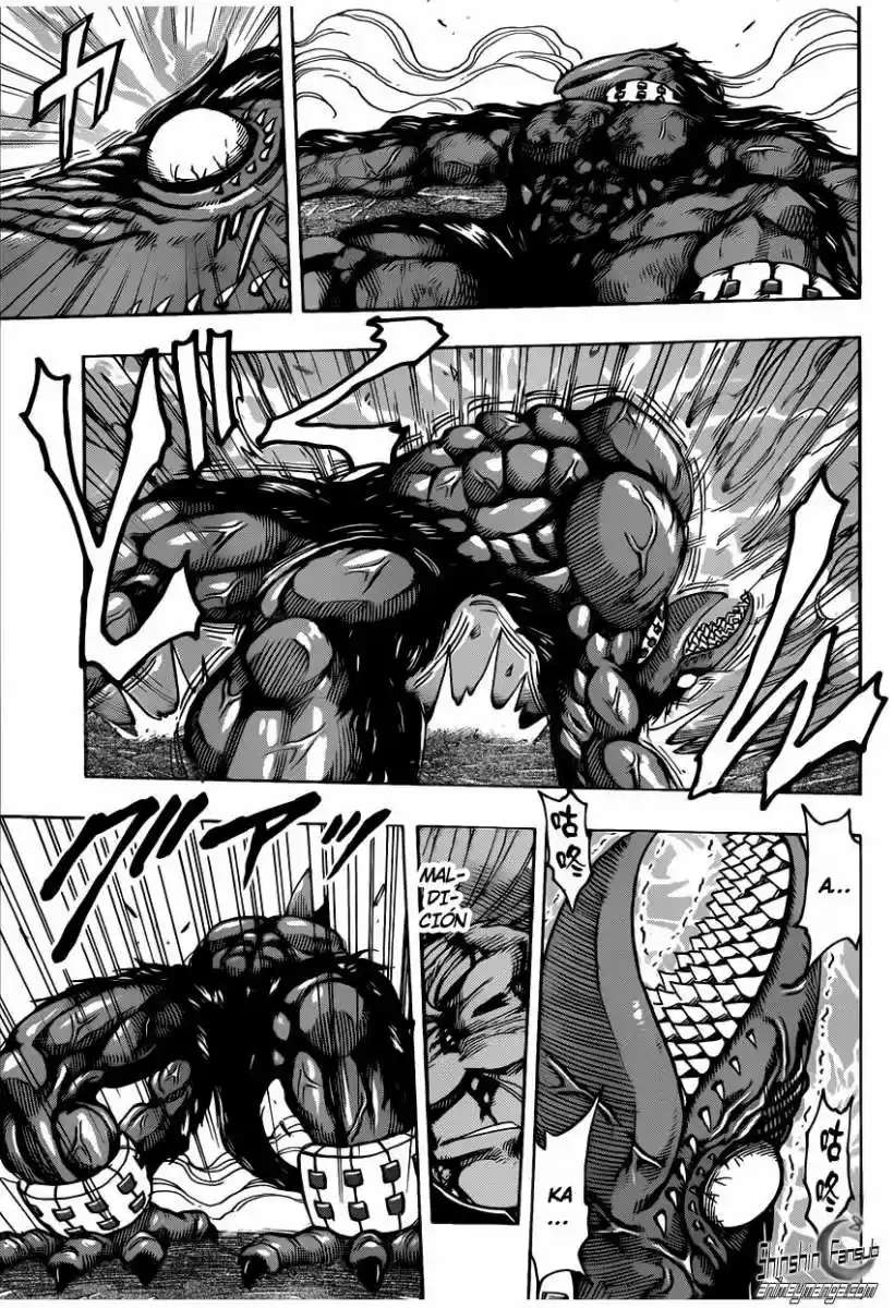 Toriko (2008) - Capítulo 242 - Página 13 - LectorTMOo