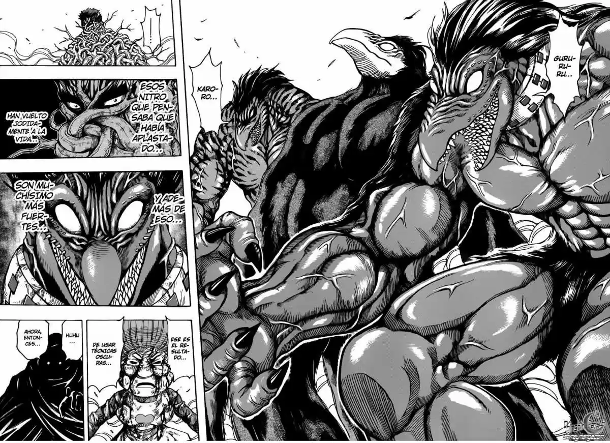 Toriko (2008) - Capítulo 242 - Página 14 - LectorTMOo