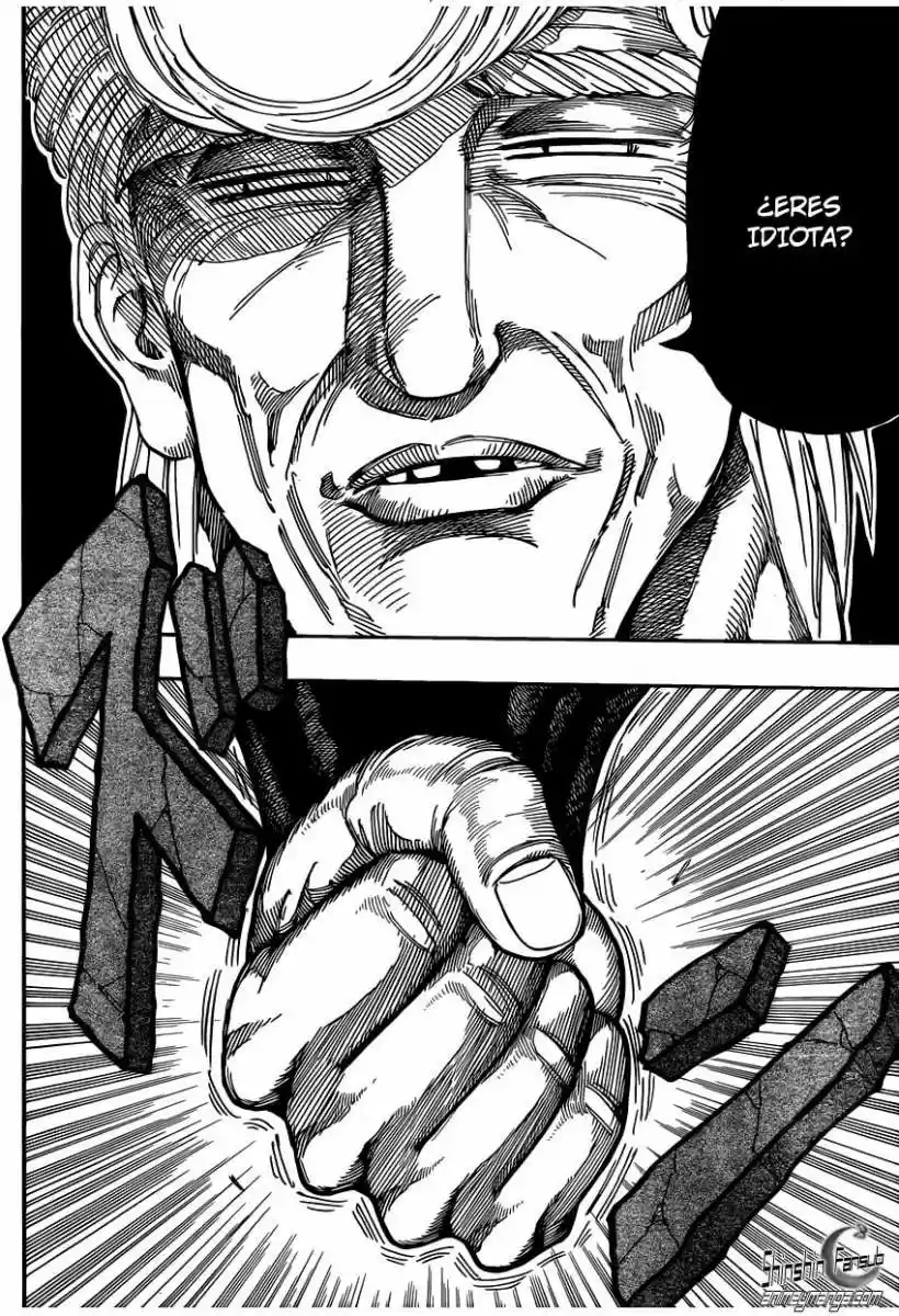Toriko (2008) - Capítulo 243 - Página 11 - LectorTMOo