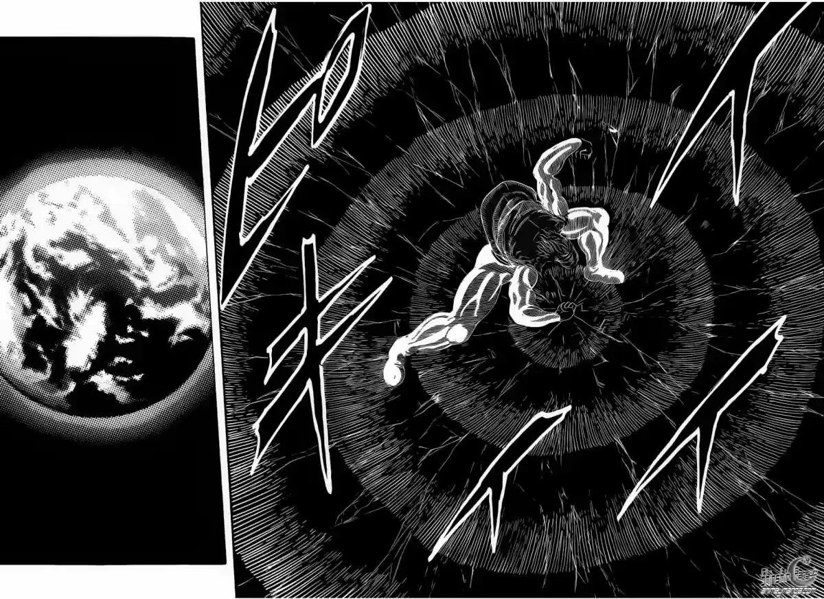 Toriko (2008) - Capítulo 243 - Página 13 - LectorTMOo