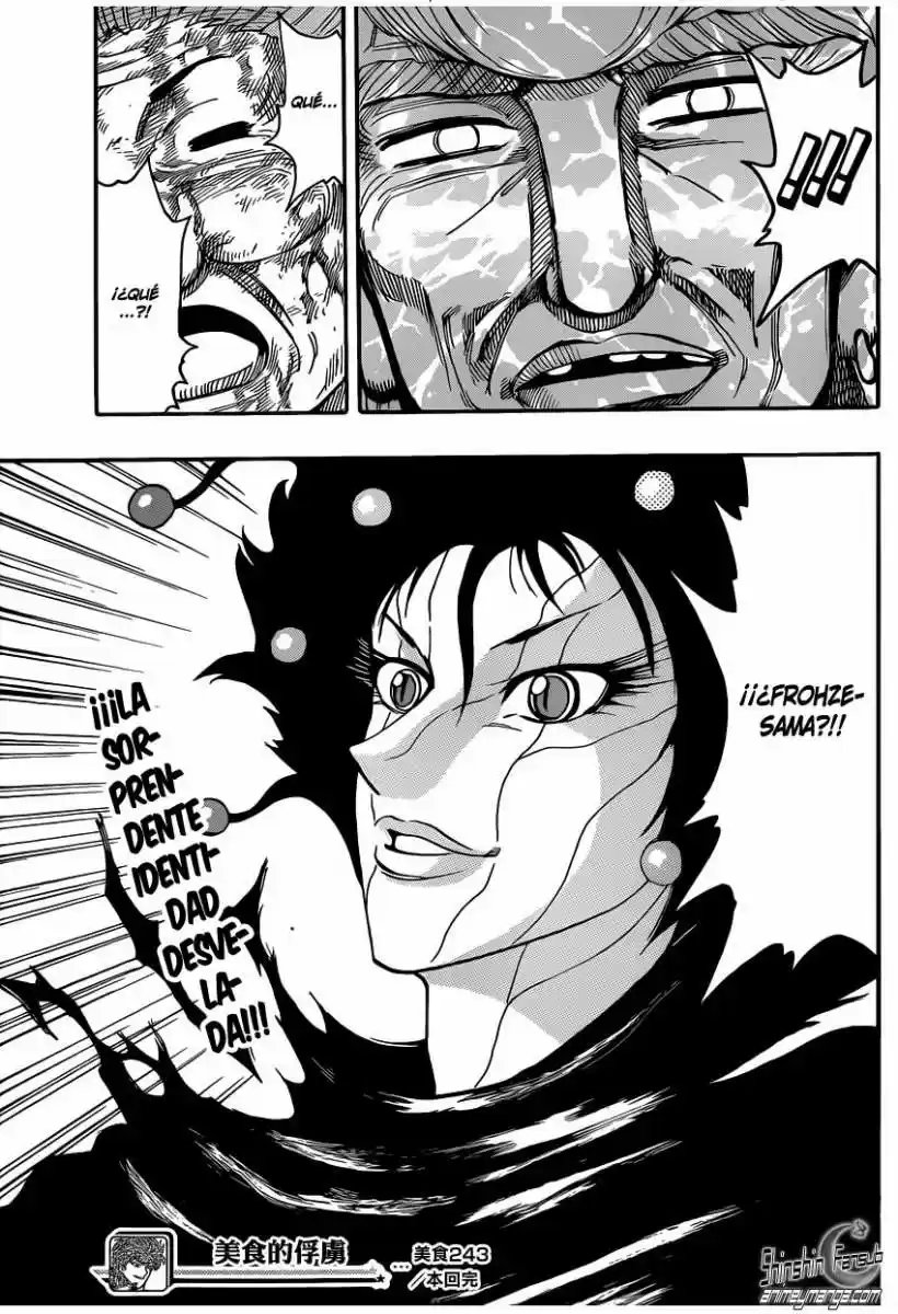 Toriko (2008) - Capítulo 243 - Página 17 - LectorTMOo