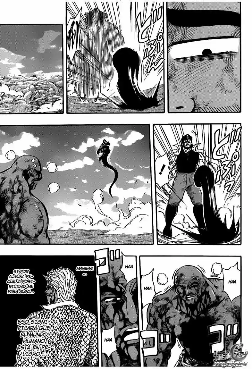 Toriko (2008) - Capítulo 245 - Página 13 - LectorTMOo