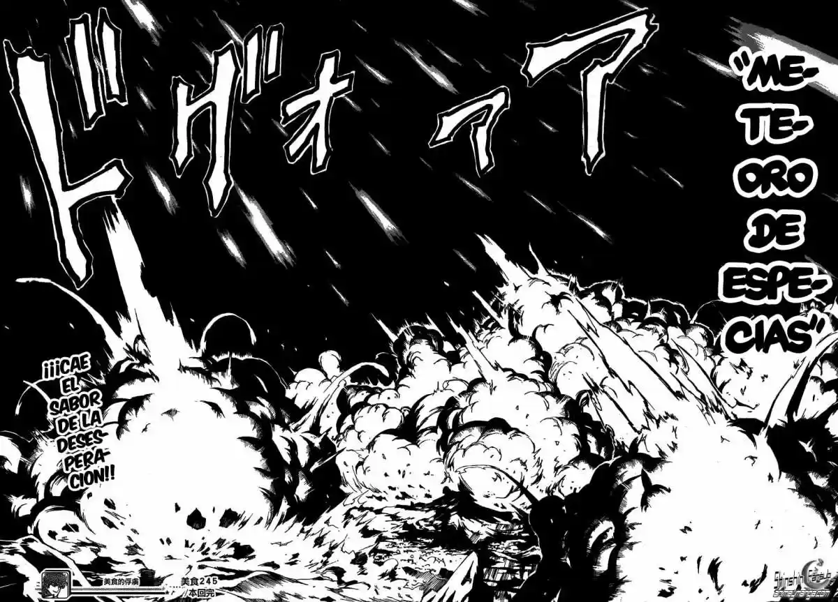 Toriko (2008) - Capítulo 245 - Página 18 - LectorTMOo