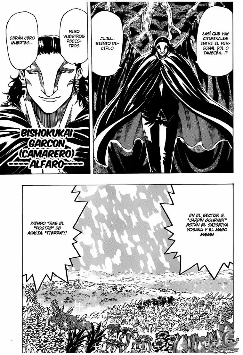 Toriko (2008) - Capítulo 246 - Página 9 - LectorTMOo