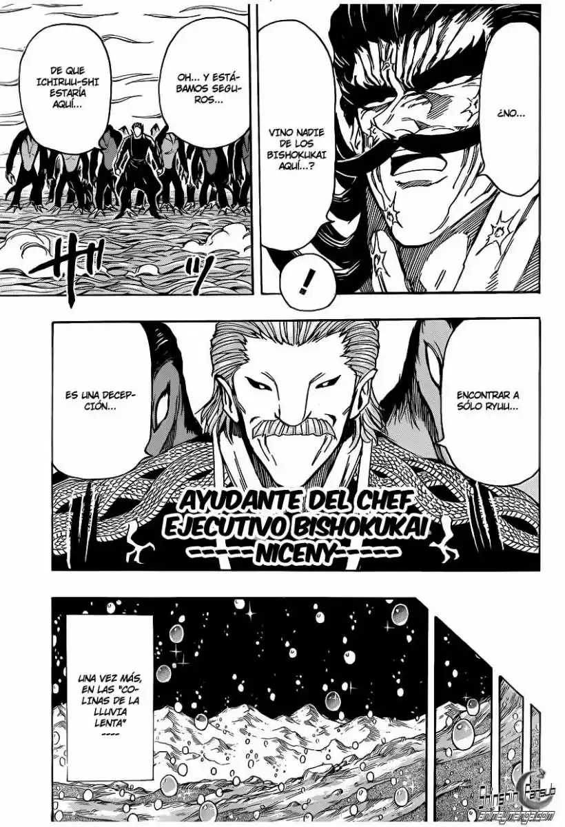 Toriko (2008) - Capítulo 246 - Página 15 - LectorTMOo