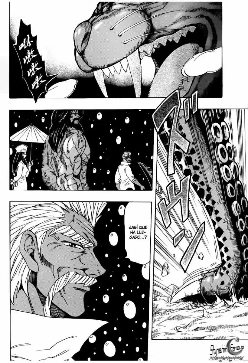 Toriko (2008) - Capítulo 246 - Página 16 - LectorTMOo