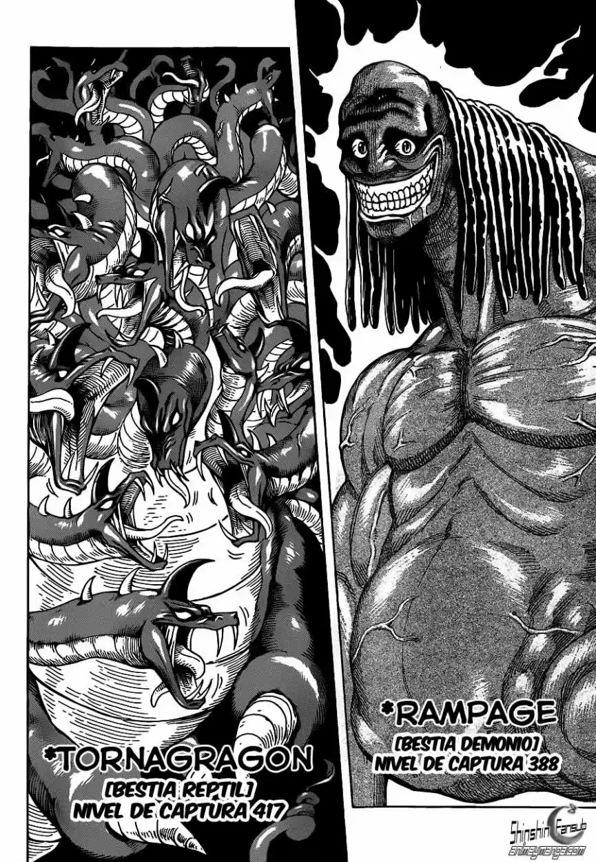 Toriko (2008) - Capítulo 247 - Página 4 - LectorTMOo