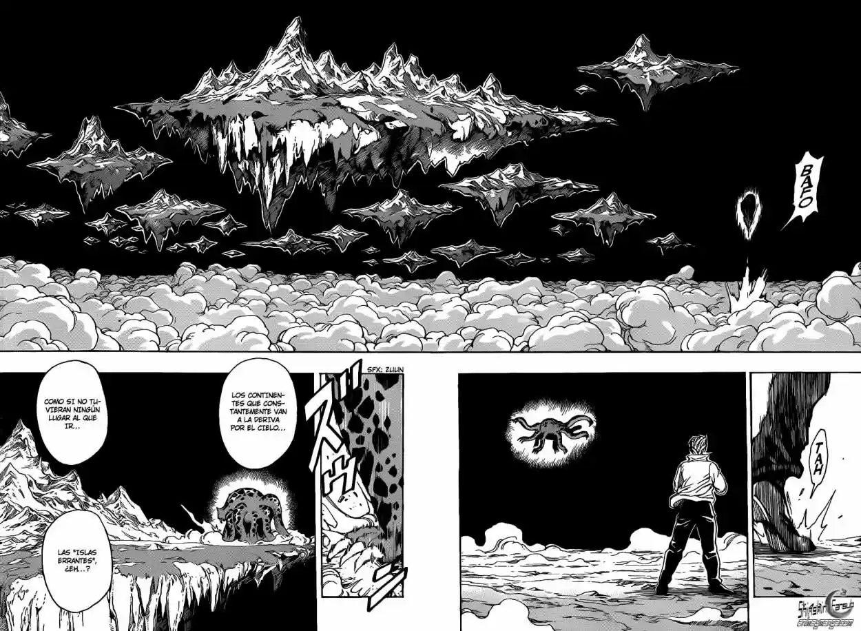 Toriko (2008) - Capítulo 247 - Página 10 - LectorTMOo