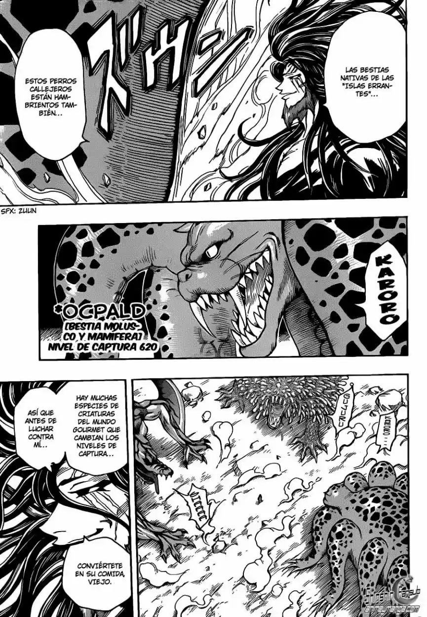 Toriko (2008) - Capítulo 247 - Página 12 - LectorTMOo