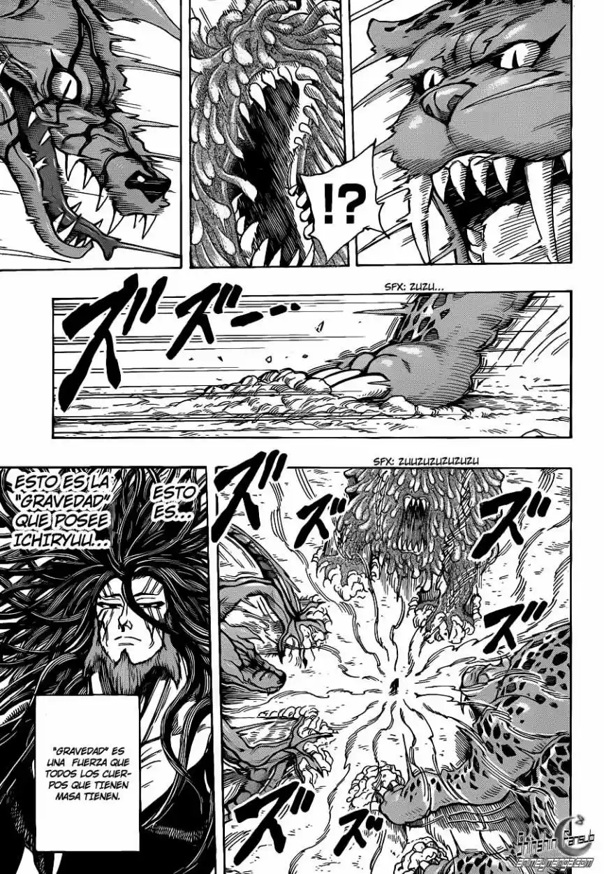 Toriko (2008) - Capítulo 247 - Página 14 - LectorTMOo