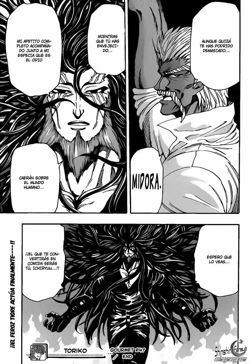 Toriko (2008) - Capítulo 247 - Página 18 - LectorTMOo