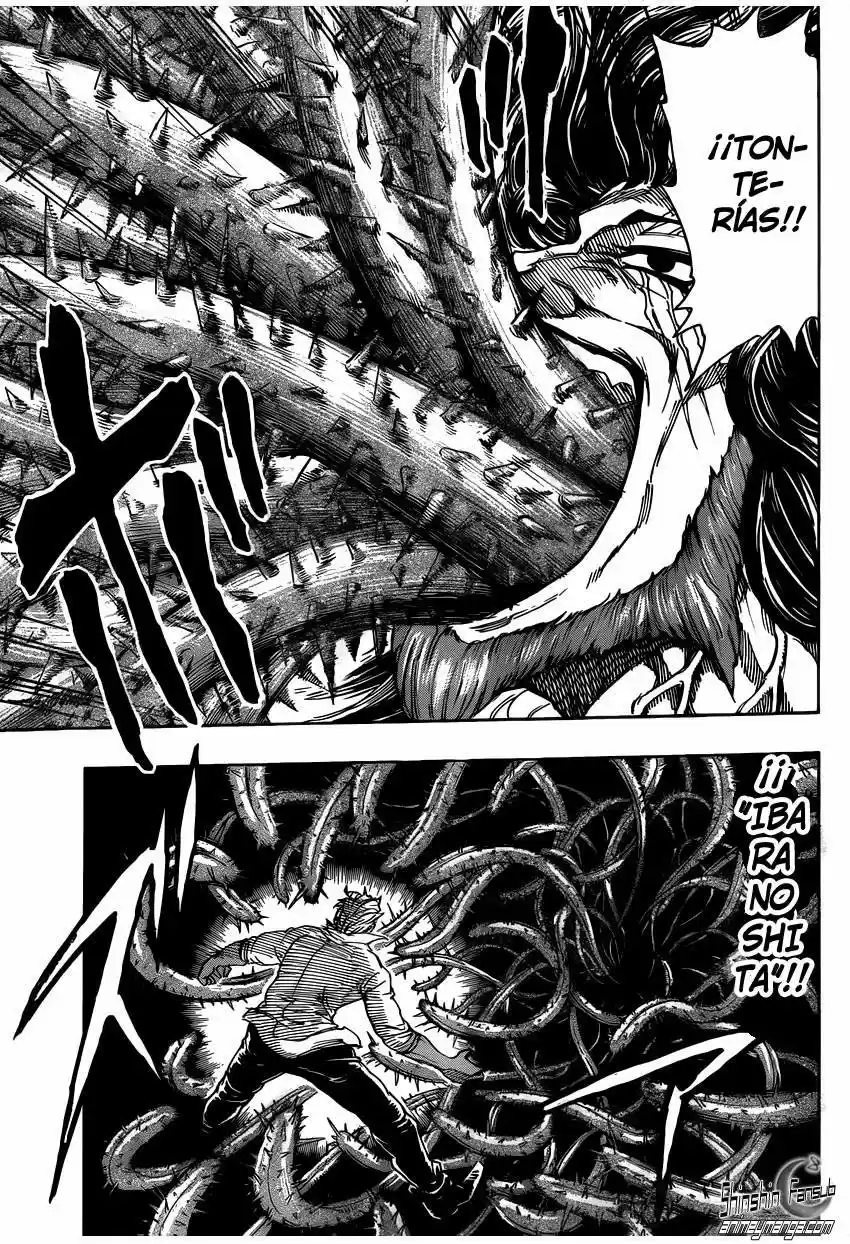 Toriko (2008) - Capítulo 248 - Página 11 - LectorTMOo