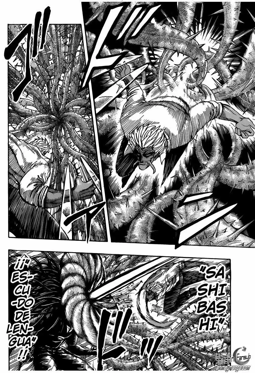 Toriko (2008) - Capítulo 248 - Página 13 - LectorTMOo
