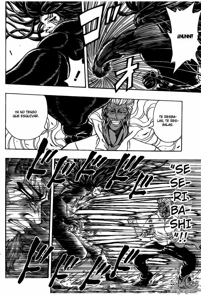 Toriko (2008) - Capítulo 248 - Página 15 - LectorTMOo