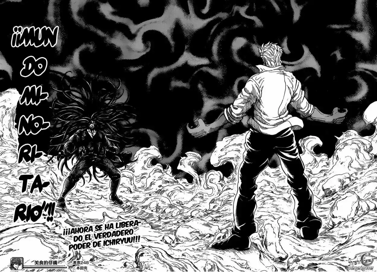 Toriko (2008) - Capítulo 248 - Página 17 - LectorTMOo
