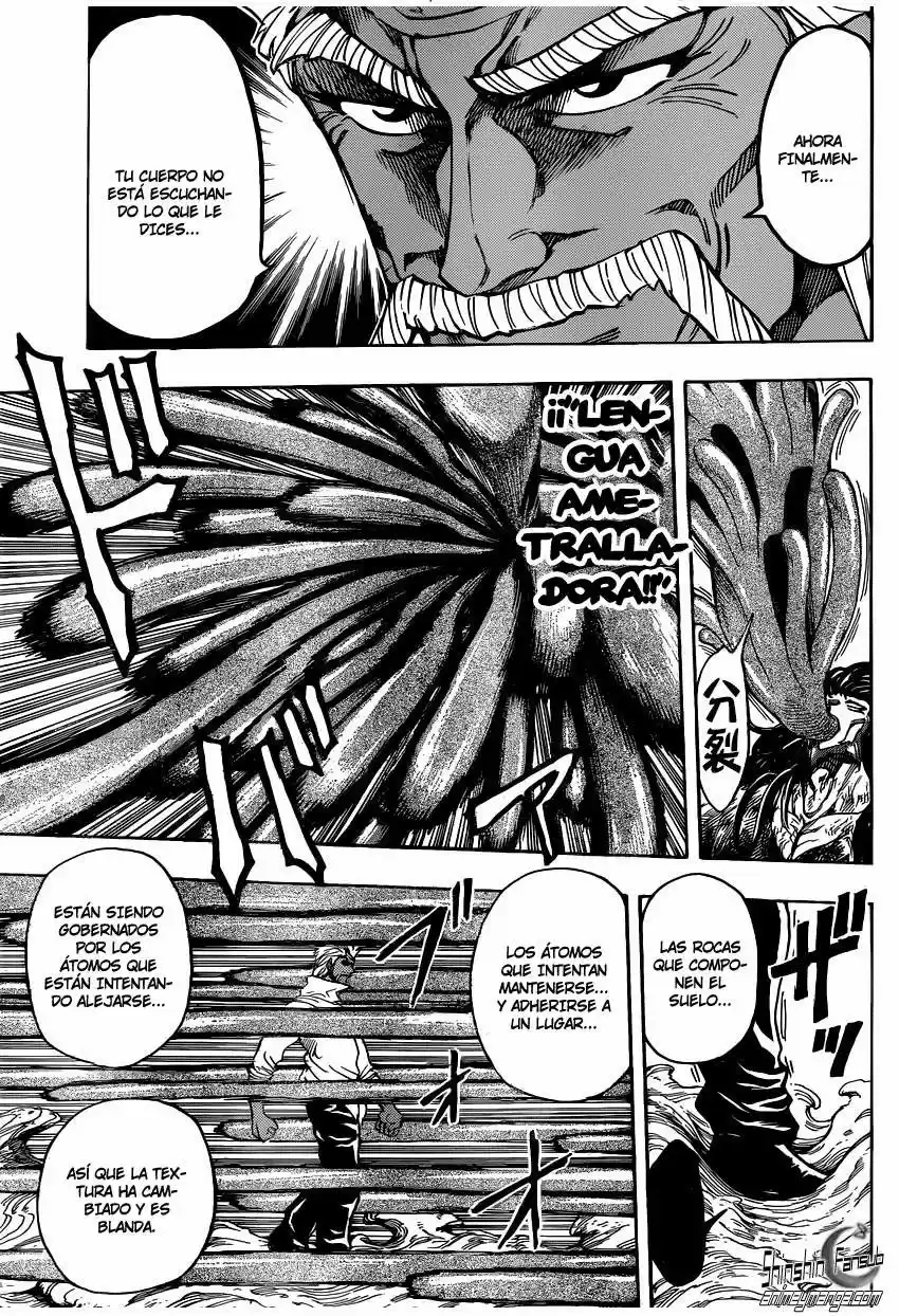 Toriko (2008) - Capítulo 249 - Página 10 - LectorTMOo