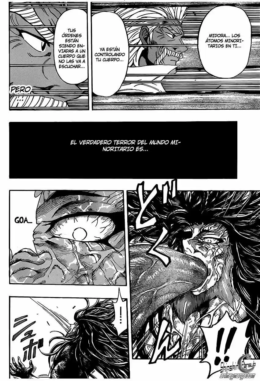 Toriko (2008) - Capítulo 249 - Página 11 - LectorTMOo