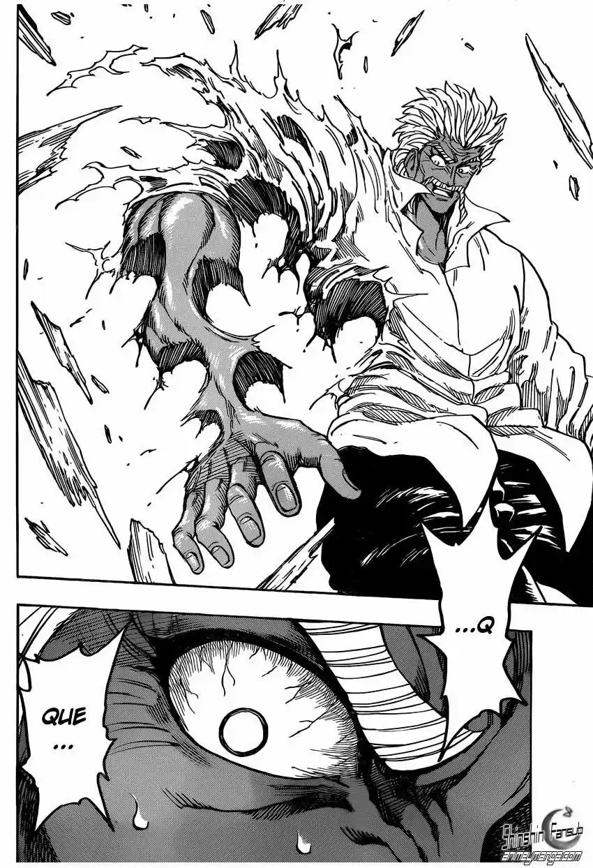 Toriko (2008) - Capítulo 249 - Página 17 - LectorTMOo