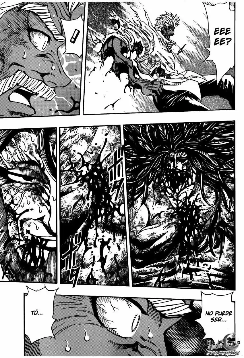 Toriko (2008) - Capítulo 249 - Página 18 - LectorTMOo