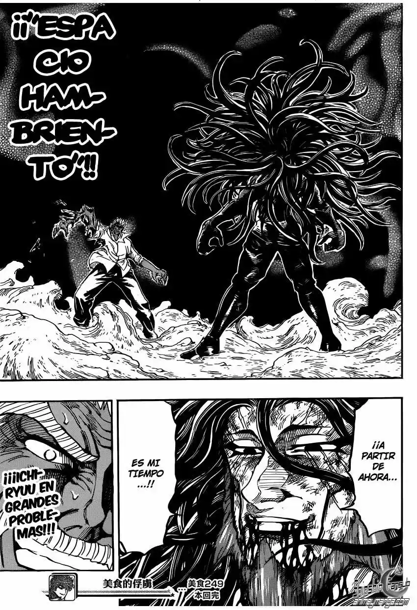 Toriko (2008) - Capítulo 249 - Página 20 - LectorTMOo
