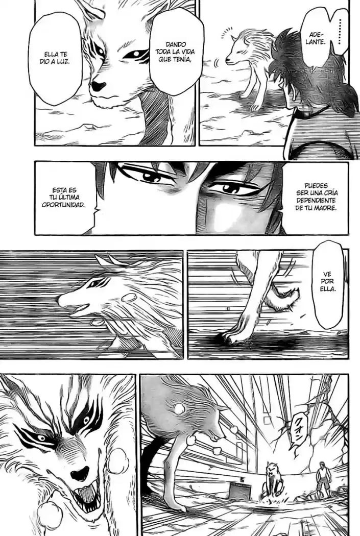 Toriko (2008) - Capítulo 25 - Página 17 - LectorTMOo