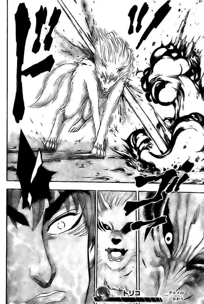 Toriko (2008) - Capítulo 25 - Página 18 - LectorTMOo
