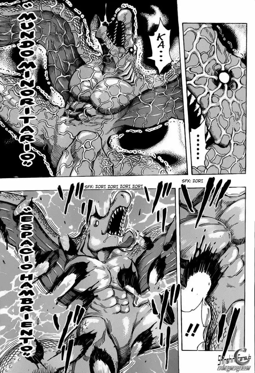 Toriko (2008) - Capítulo 250 - Página 5 - LectorTMOo