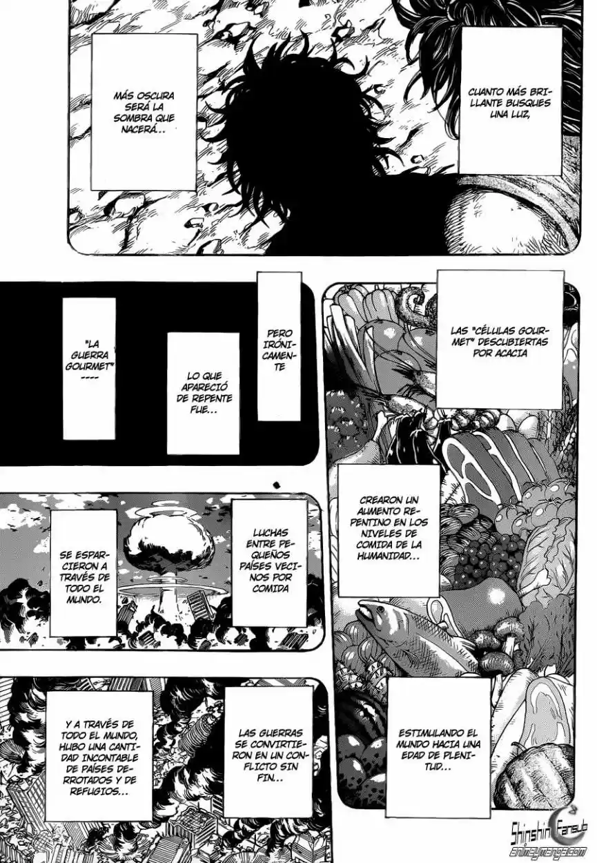 Toriko (2008) - Capítulo 250 - Página 13 - LectorTMOo