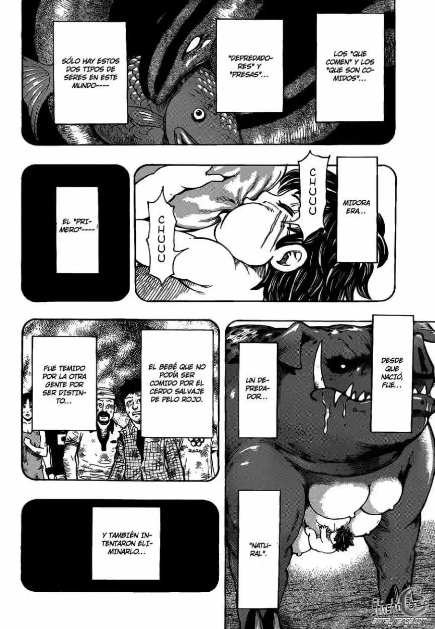 Toriko (2008) - Capítulo 250 - Página 16 - LectorTMOo