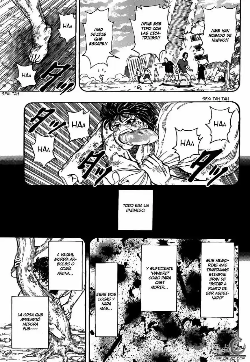 Toriko (2008) - Capítulo 250 - Página 17 - LectorTMOo