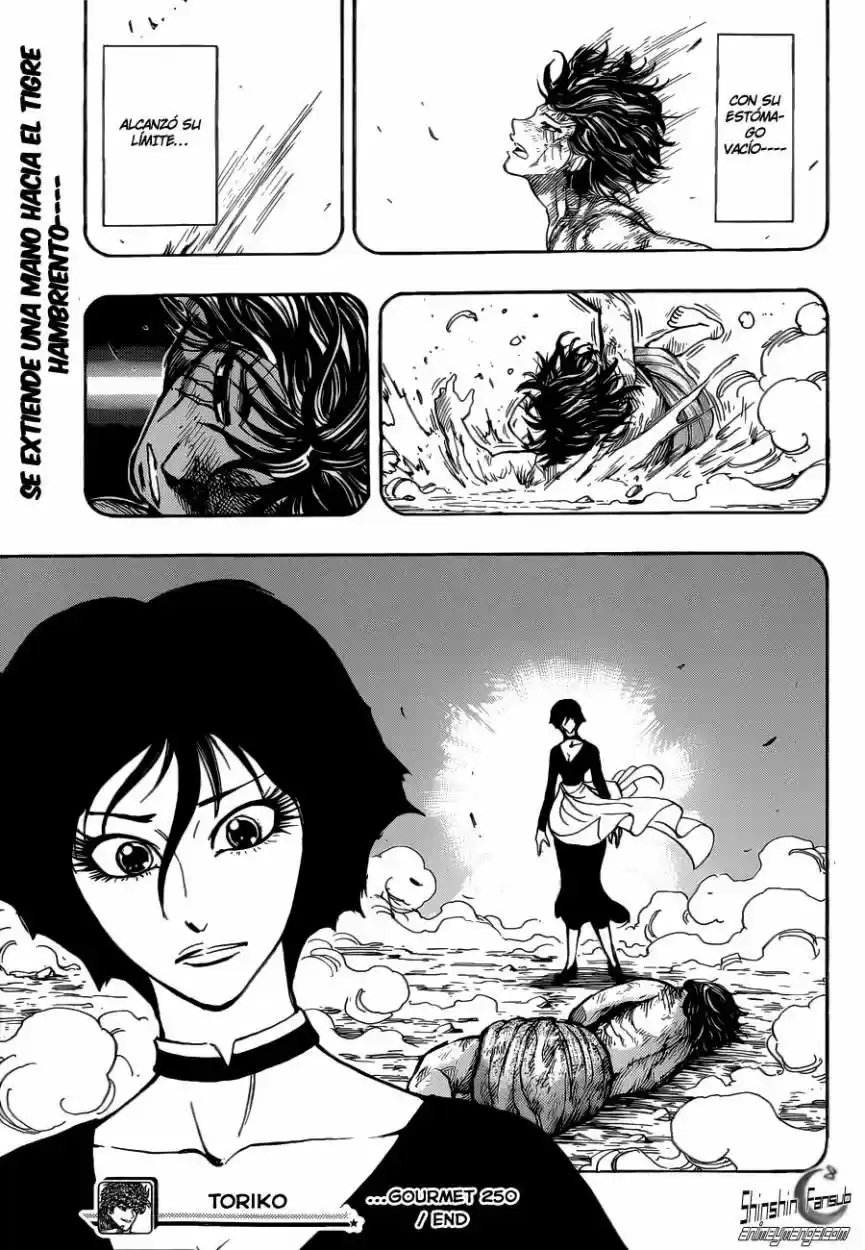 Toriko (2008) - Capítulo 250 - Página 19 - LectorTMOo