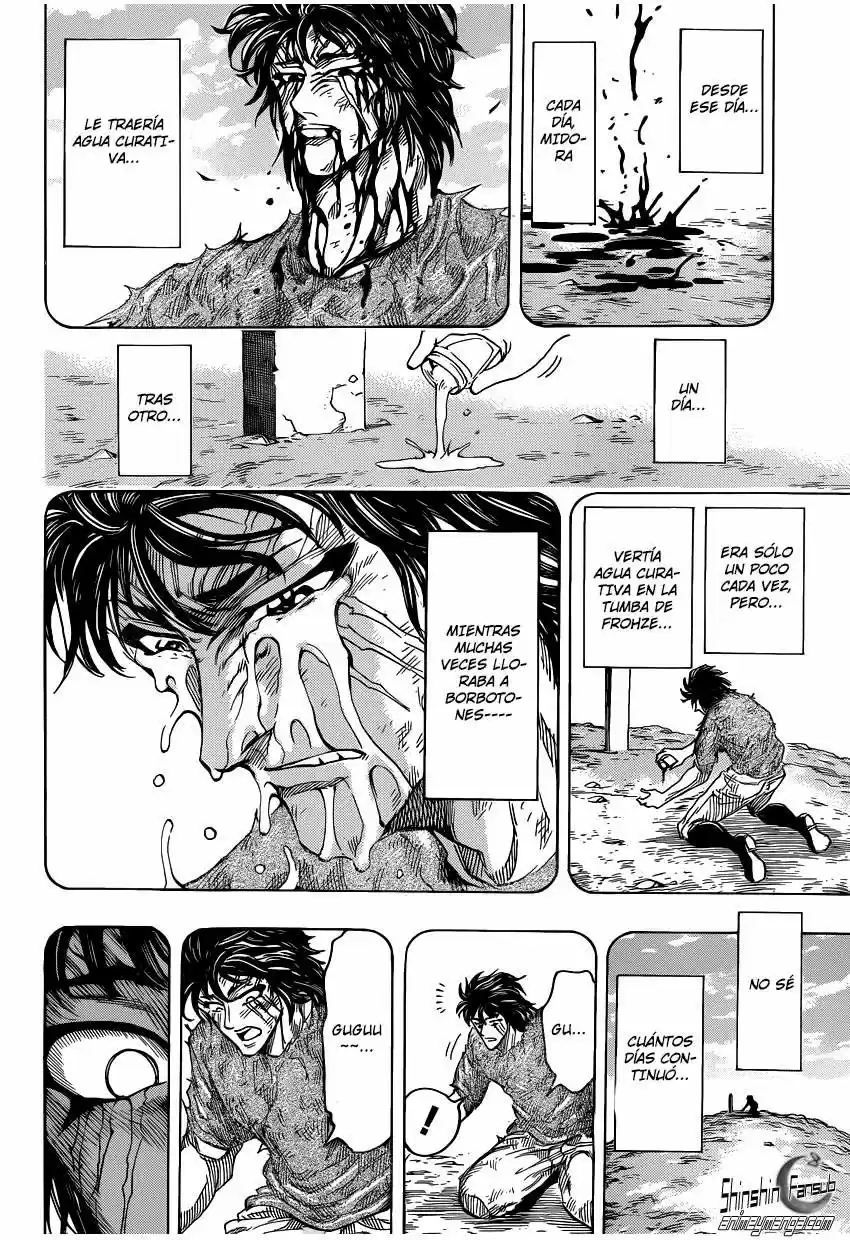 Toriko (2008) - Capítulo 253 - Página 15 - LectorTMOo