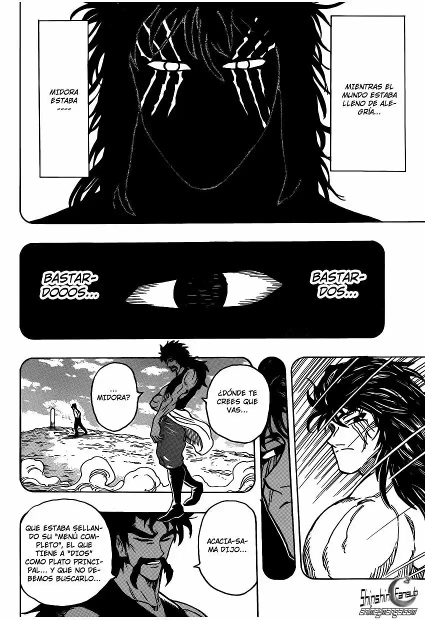 Toriko (2008) - Capítulo 253 - Página 17 - LectorTMOo