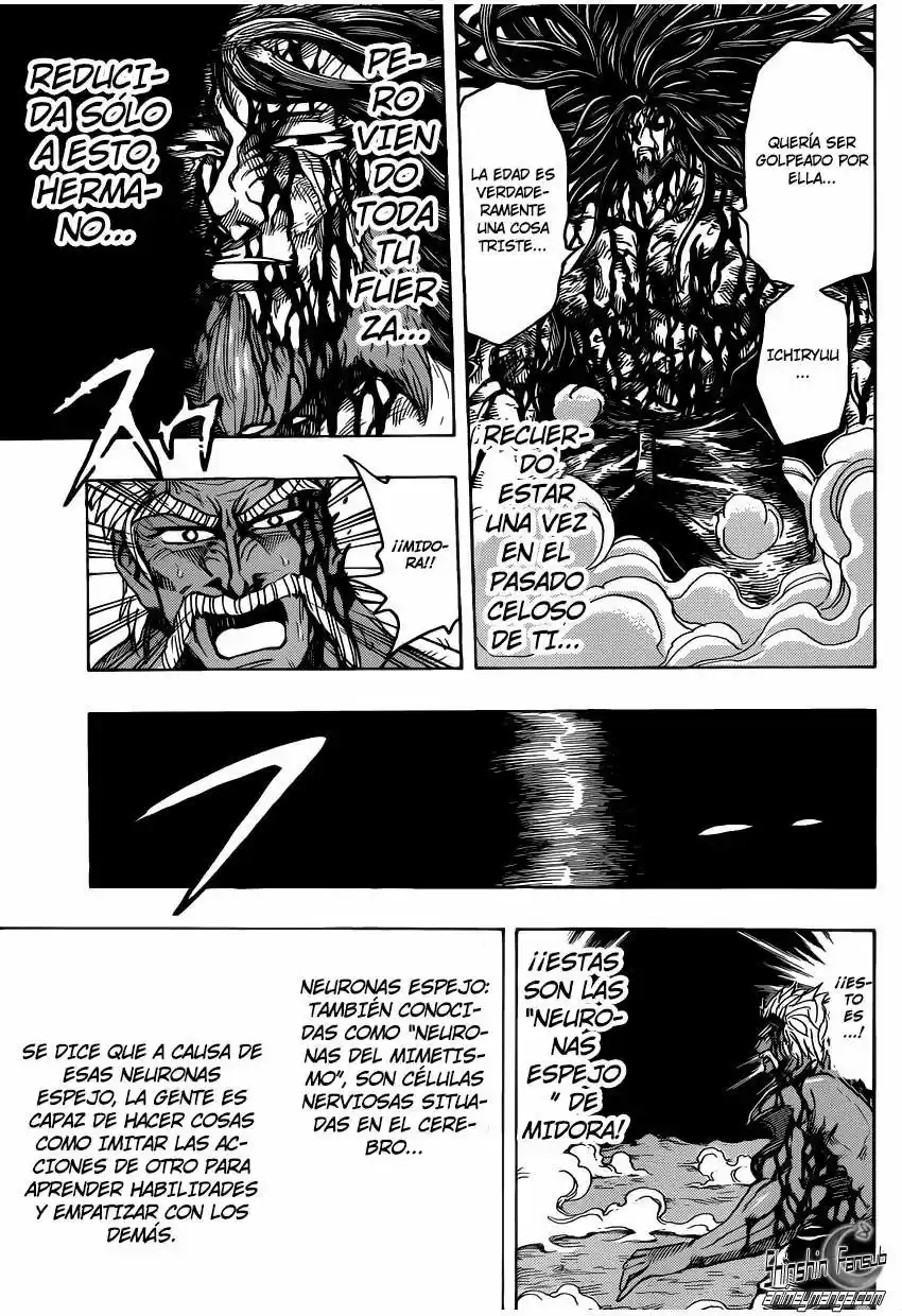 Toriko (2008) - Capítulo 254 - Página 12 - LectorTMOo