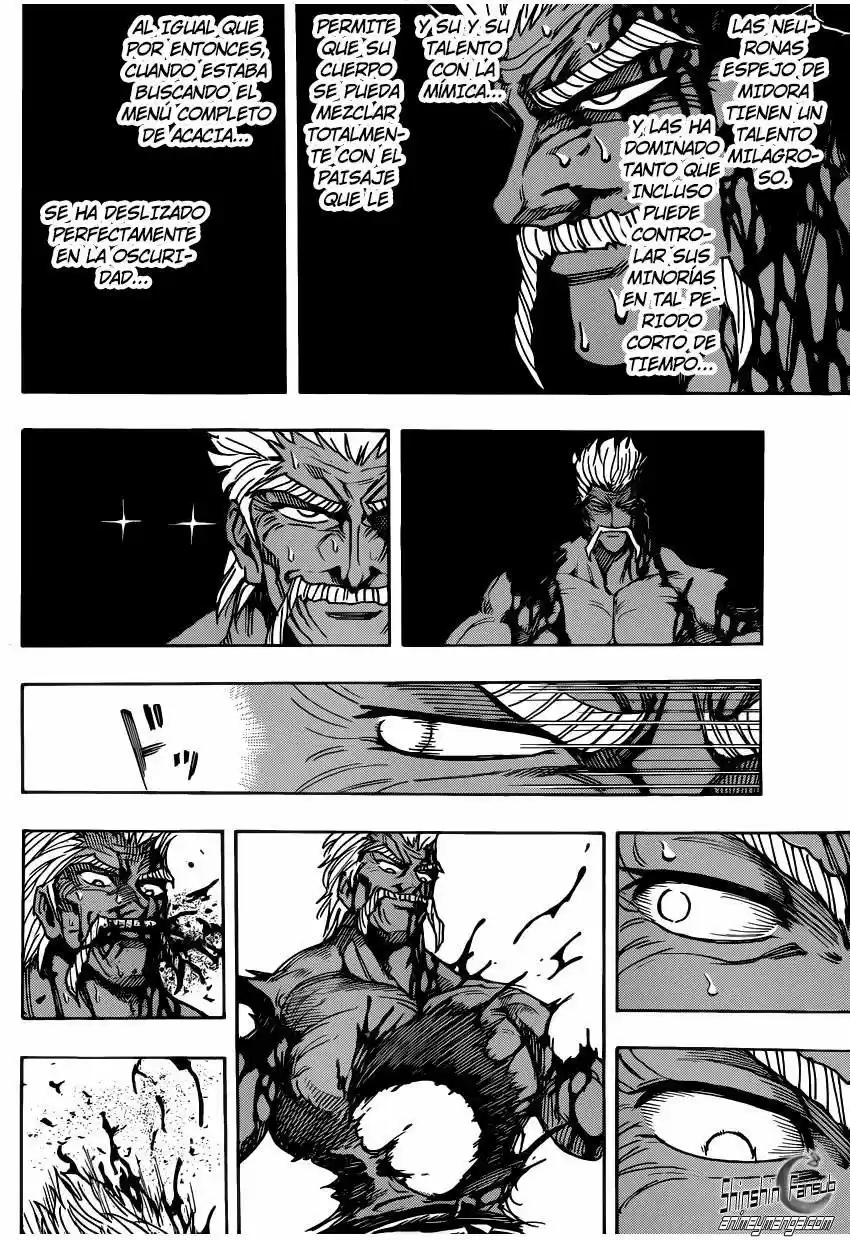 Toriko (2008) - Capítulo 254 - Página 13 - LectorTMOo