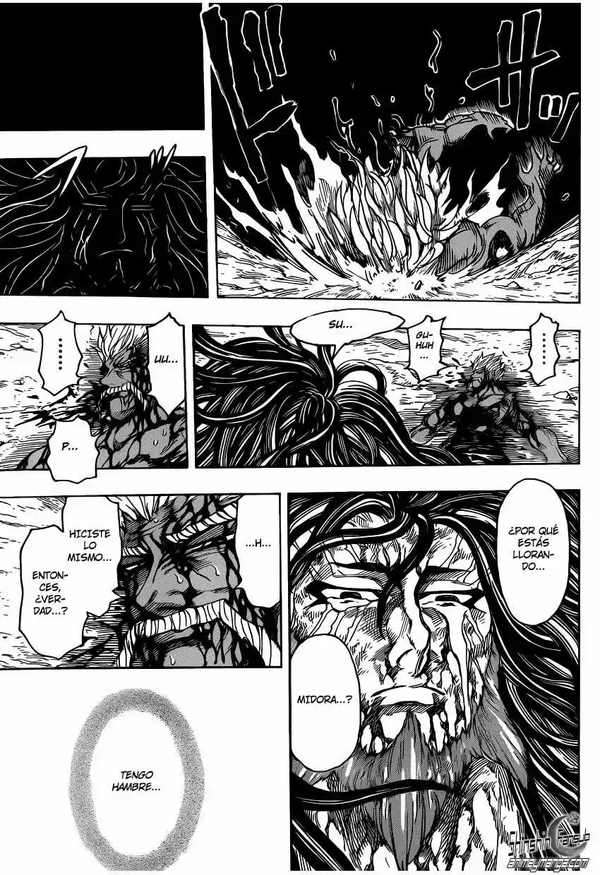 Toriko (2008) - Capítulo 254 - Página 14 - LectorTMOo