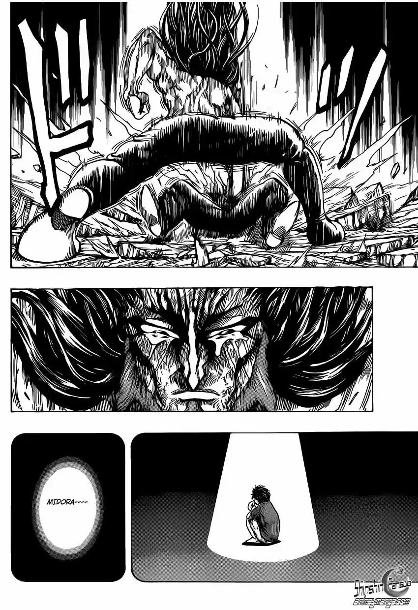 Toriko (2008) - Capítulo 254 - Página 17 - LectorTMOo
