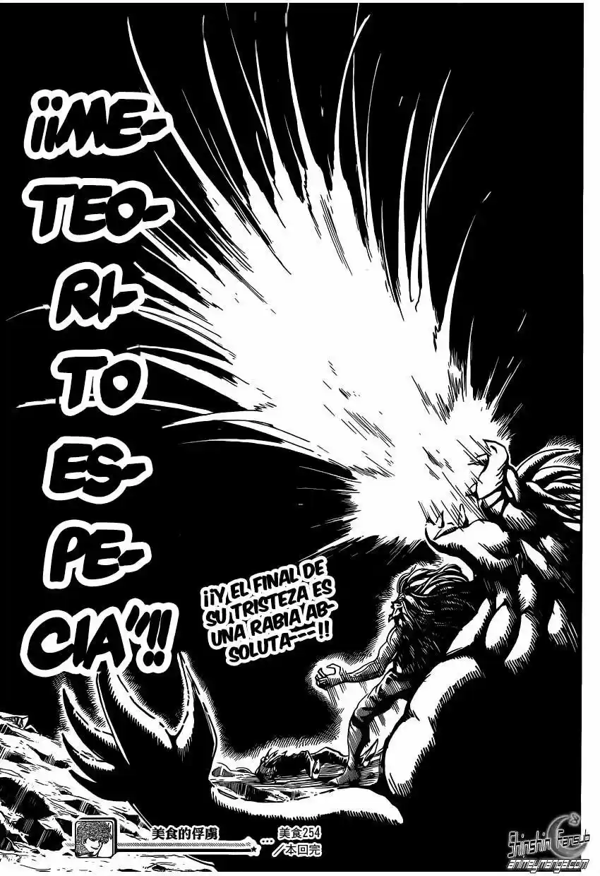 Toriko (2008) - Capítulo 254 - Página 20 - LectorTMOo