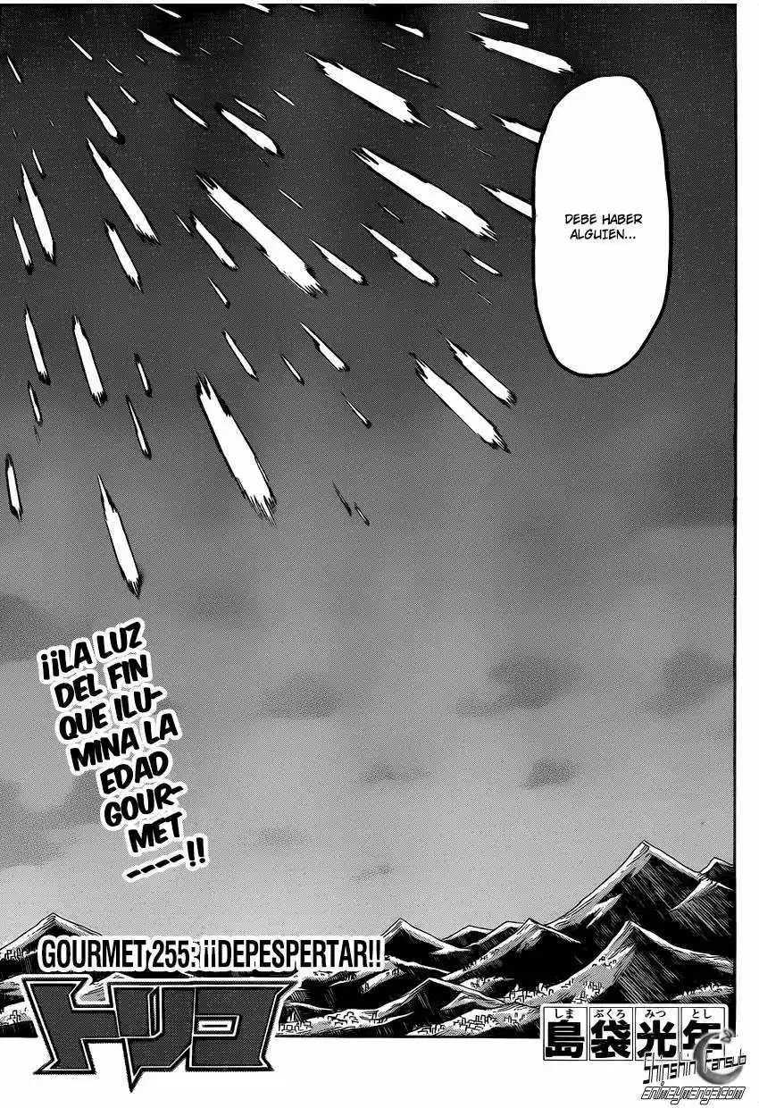 Toriko (2008) - Capítulo 255 - Página 6 - LectorTMOo
