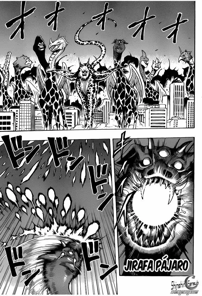 Toriko (2008) - Capítulo 255 - Página 9 - LectorTMOo