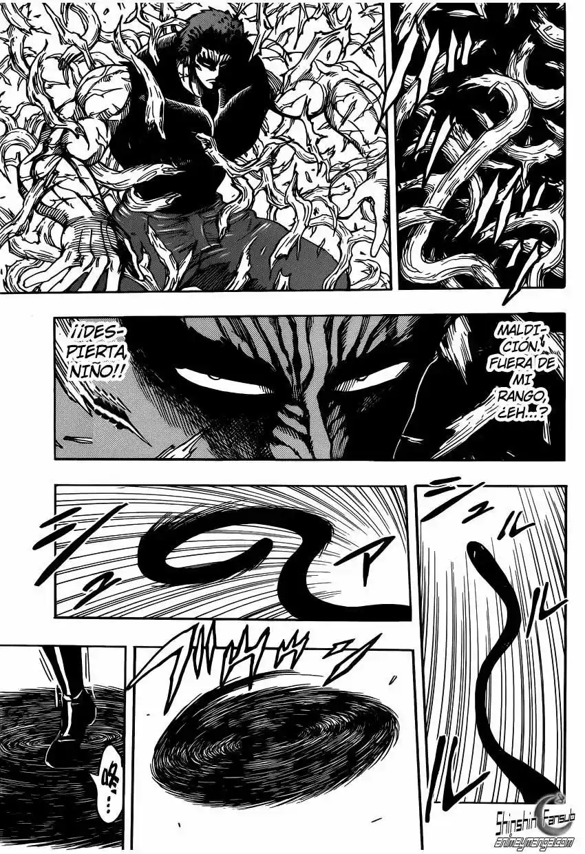 Toriko (2008) - Capítulo 255 - Página 13 - LectorTMOo