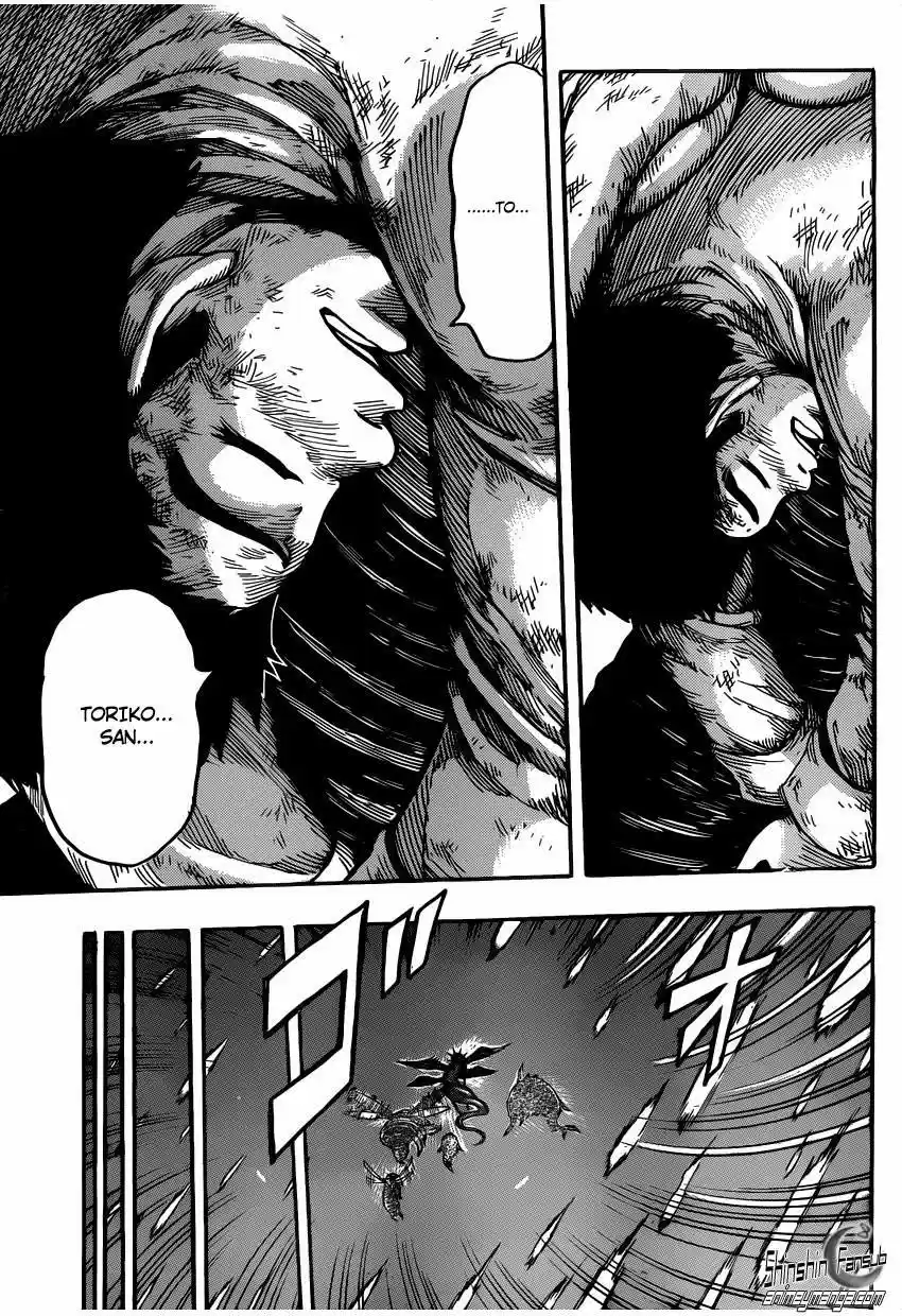 Toriko (2008) - Capítulo 255 - Página 17 - LectorTMOo