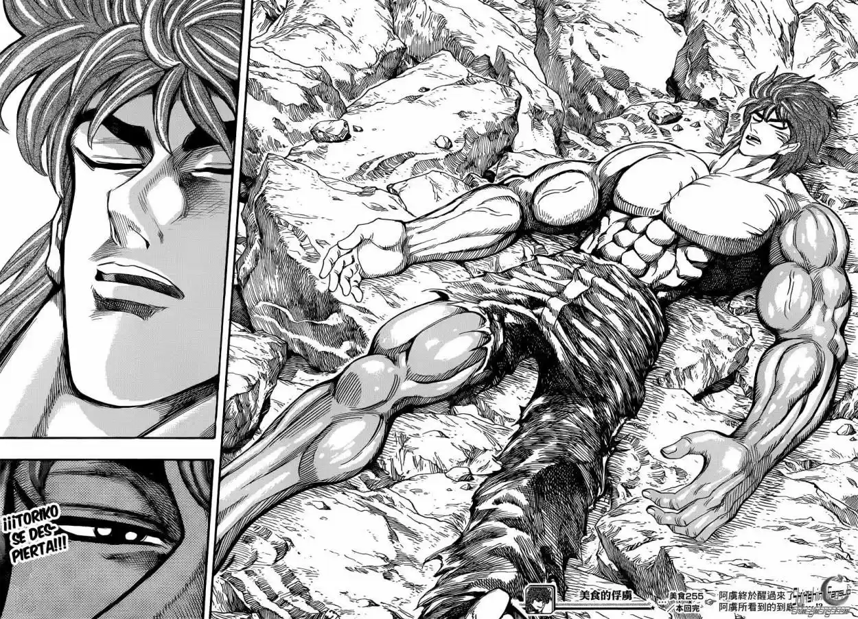 Toriko (2008) - Capítulo 255 - Página 18 - LectorTMOo