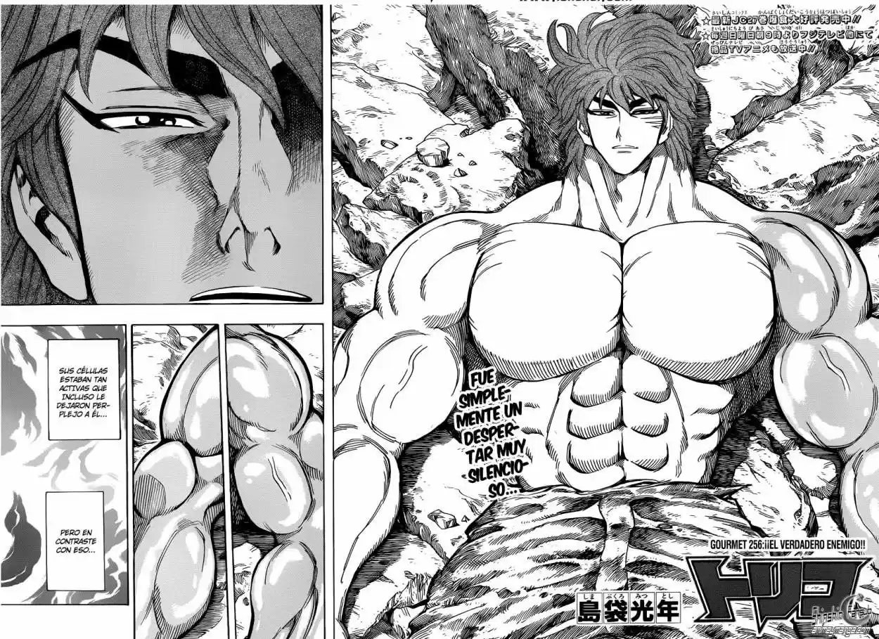 Toriko (2008) - Capítulo 256 - Página 5 - LectorTMOo