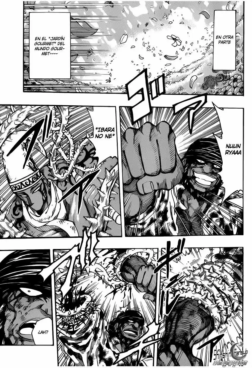 Toriko (2008) - Capítulo 256 - Página 9 - LectorTMOo