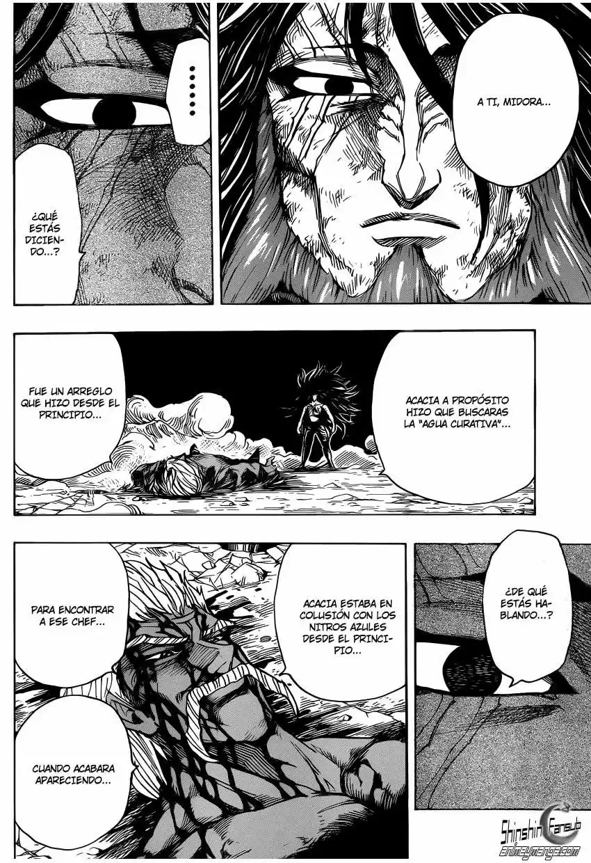 Toriko (2008) - Capítulo 256 - Página 16 - LectorTMOo